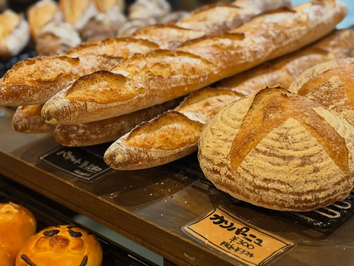 おはようございます𖠿𖥧𖥣｡