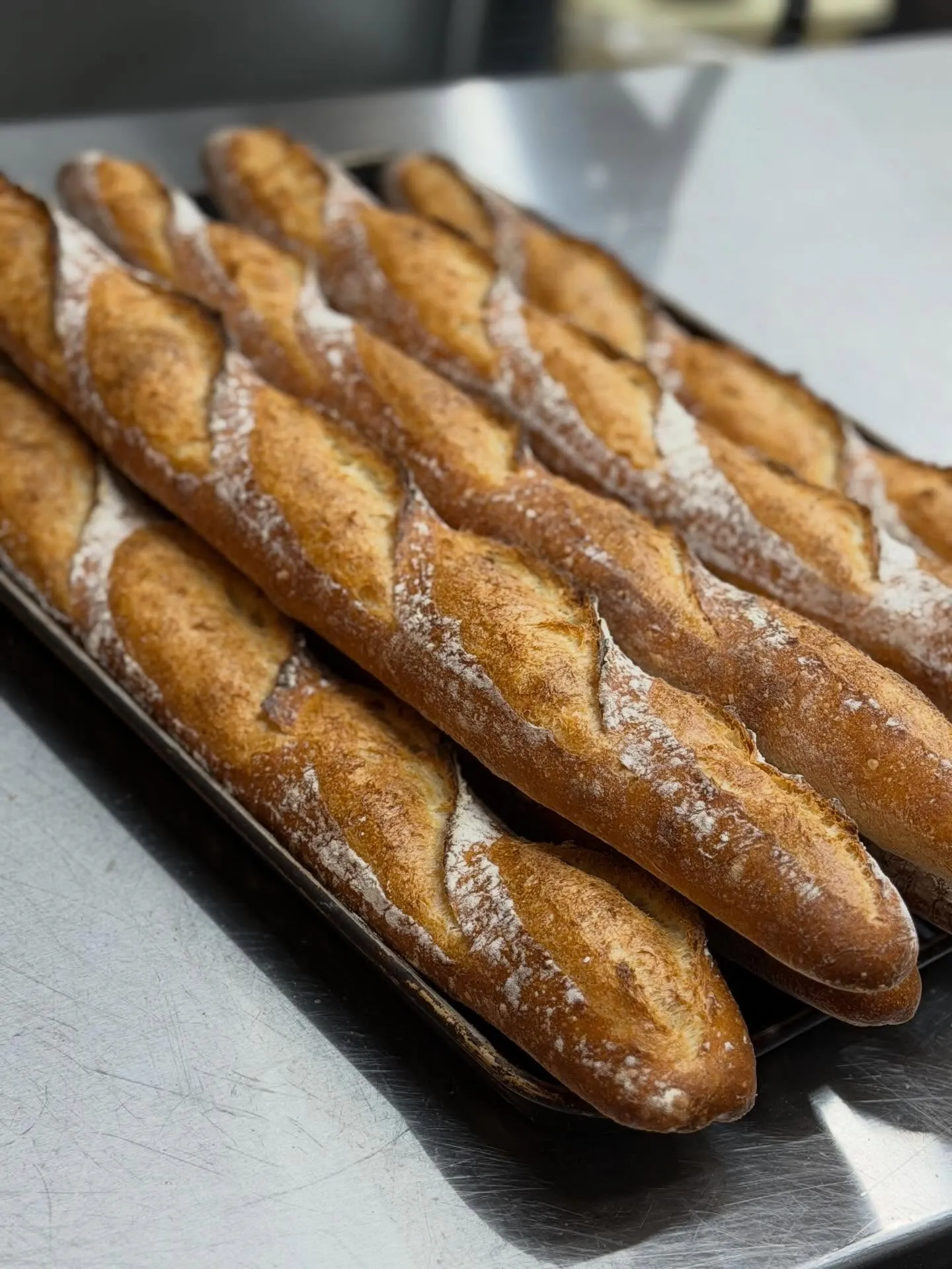 おはようございます𖠿𖥧𖥣｡