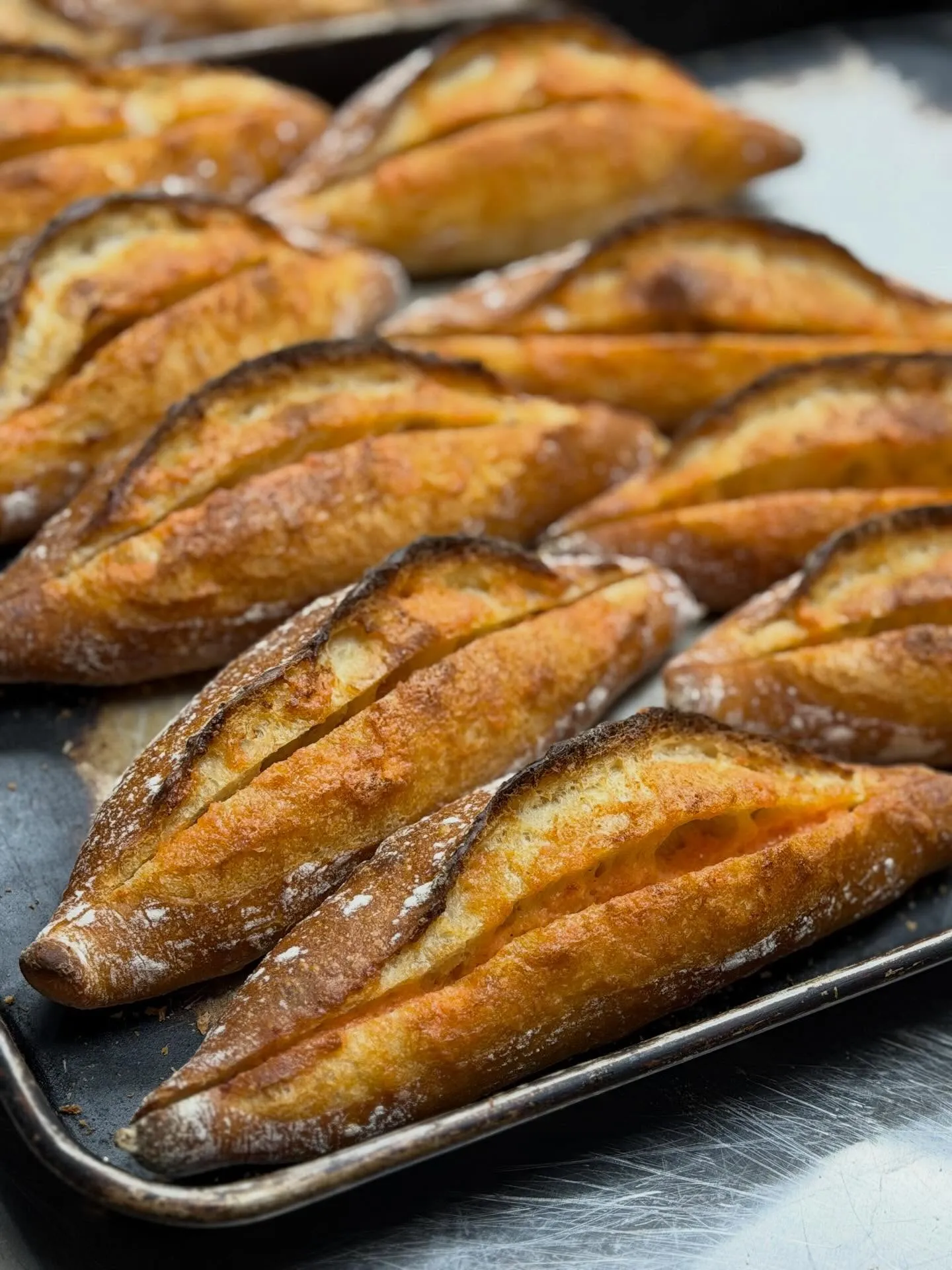 おはようございます𖠿𖥧𖥣｡