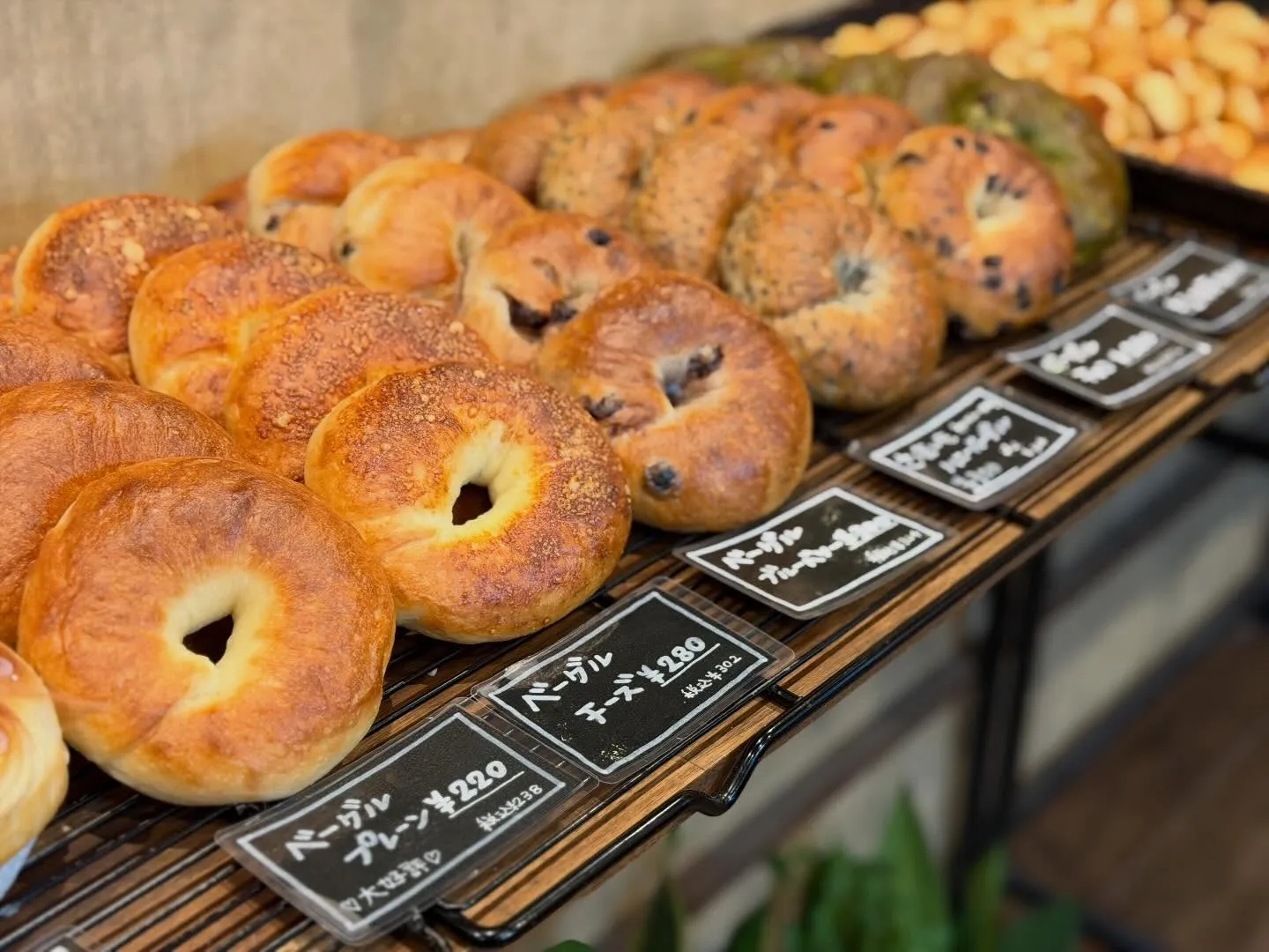 𝟷月営業日のお知らせです𖠿𖥧𖥣｡