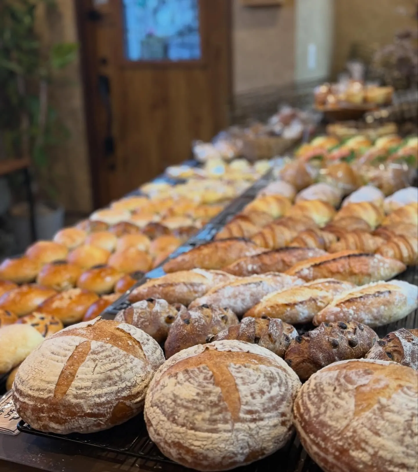 おはようございます𖠿𖥧𖥣｡˖*